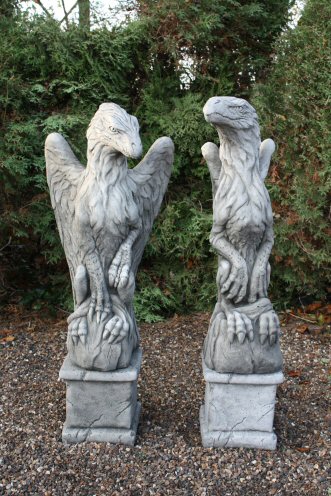 KGY49 Sentinel Griffins